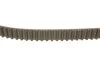 К-кт паска ГРМ Fiat/Ford/PSA/Volvo 1.6D/1.6HDI/1.6Multijet/1.6TDCii 05- INA 530 0375 10 (фото 3)