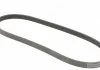 Ремінь полікліновий (Вир-во ContiTech) CONTITECH 6PK1130 (фото 5)