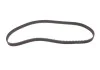 Комплект ГРМ 1.9D Kangoo 97-03/Clio 91-05/Rapid 94-98 GATES K015484XS (фото 11)