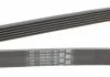 Ремень генератора W124/202/Vito M111 (PS) CONTITECH 6PK2040 (фото 3)
