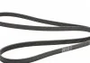 Ремень генератора W124/202/Vito M111 (PS) CONTITECH 6PK2040 (фото 5)