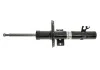Ам-тор перед. газ. Audi A1 Seat Ibiza VW Polo 1.2Tfsi-1.9Tdi 03.08- BILSTEIN 22183705 (фото 1)