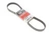 Ремень генератора Ducato 2.8JTD 00> (ALT, WP) GATES 6PK995