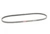 Ремень генератора Croma/Almera/Hiace IV -06 GATES 4PK1100 (фото 2)