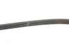 Ремень генератора Croma/Almera/Hiace IV -06 GATES 4PK1100 (фото 3)