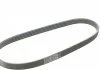 Ремень генератора Smart Fortwo 0.8cDi 04- CONTITECH 5PK768 (фото 5)