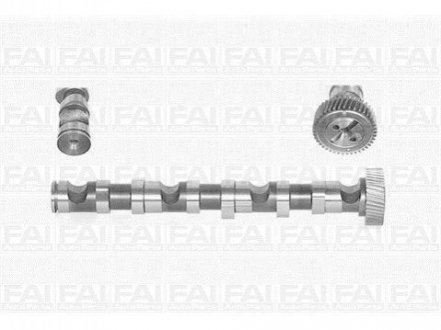 Розподільчий вал Audi A4, A6 99-03 Skoda Super B /WV Passat 97-05 Fischer Automotive One (FA1) C246