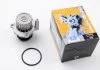 Водяной насос VW Polo/Skoda Fabia 1.9 SDI 99- Saleri SIL SALERI SIL PA1102 (фото 1)