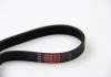 Ремень генератора T5 1.9TDI/2.0 03> (PS) GATES 6PK1123