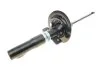 Ам-тор перед. Renault Megane II 1.4-2.0DCI 11.02- /Scenic 04- BILSTEIN 22132390 (фото 1)