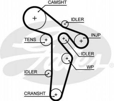 Ремінь ГРМ GATES 5649XS