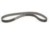 Комплект ГРМ Kangoo/Megane/Clio 1.5dCi 01- GATES K015578XS (фото 4)