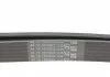 Ремень генератора SAAB 2.0 98-03 CONTITECH 6PK2345 (фото 3)