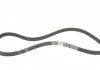 Комплект газорозподільчого механізму CONTITECH CT1105WP2 (фото 14)