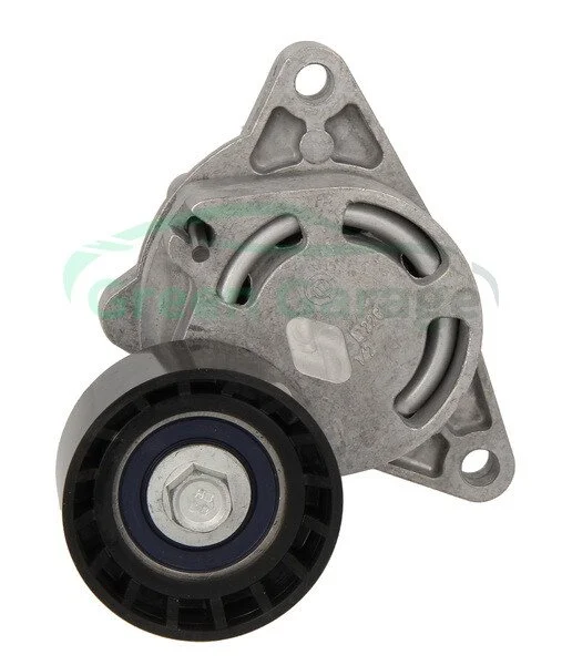 Натяжник паска поліклин. Nissan/Renault 2.2dCi-2.5dCi 03- NTN SNR GA355.26 (фото 1)