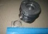 Поршень DB OM646/647/648 2.2D 2.7D 3.2D 99- (30x70) + STD NURAL 8713640000 (фото 2)