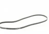 Пасок поліклиновий Chrysler Neon/PT Cruiser 2.0/2.4 00- CONTITECH 4PK1310 (фото 3)