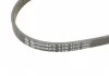 Пасок поліклиновий Chrysler Neon/PT Cruiser 2.0/2.4 00- CONTITECH 4PK1310 (фото 4)