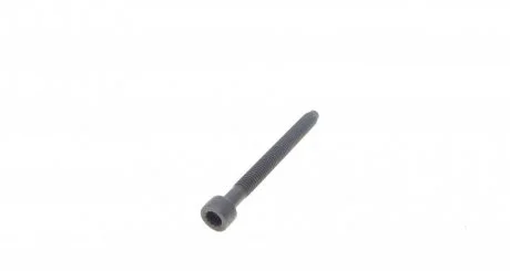 Болт кріплення форсунки AUTOTECHTEILE 310 3016