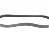 Ремень генератора 6PK831 Transit 2.0 Di/TDCi 00> (-AC) CONTITECH 6PK831 ELAST (фото 5)