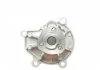 Водяной насос VW Polo/Seat Ibiza/Skoda Fabia 1.2i 01- AIRTEX 1828 (фото 5)