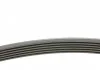 Ремень генератора Jumpy 1.9D/2.0HDI -07 (+AC) CONTITECH 6PK1740 (фото 2)