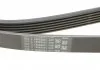 Ремень генератора Jumpy 1.9D/2.0HDI -07 (+AC) CONTITECH 6PK1740 (фото 4)