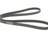 Ремень генератора Jumpy 1.9D/2.0HDI -07 (+AC) CONTITECH 6PK1740 (фото 5)