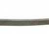 Ремень генератора 6PK780 C3/C4/207/307 02- 1.4-1.6HDi CONTITECH 6PK780ELAST (фото 2)