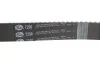 К-кт паска ГРМ Toyota/Lexus 400/430/LC 100 4.7 V8 98 GATES K01T298 (фото 2)