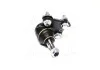 Опора кульова SEAT/VW PASSAT, GOLF III, VENTO/TOLEDO I (Вир-во Moog) MOOG VOBJ7184 (фото 1)