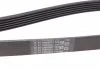 Ремень генератора T5 2.0TSI 11- CONTITECH 6PK1580 (фото 3)