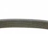 Пасок поліклиновий Audi// Ford// Seat// Skoda// VW DAYCO 6DPK1195 (фото 2)