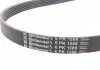 Ремень генератора Mini Cooper 1.2/1.4 04- CONTITECH 6PK1388 (фото 2)