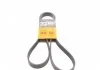 Ремень генератора Crafter 2.0TDI 11- CONTITECH 6PK1613