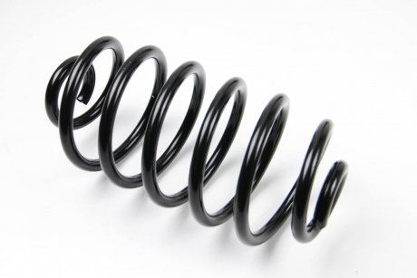 Пружина задняя Combo 01- 65-305-016 BSG BSG 65305016