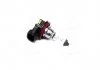 Лампа розжарювання H8 12V 35W PGJ19-1 (вир-во Philips) PHILIPS 12360 C1 (фото 1)