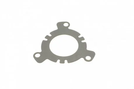 Прокладка ТНВД Jumpy/Expert 2.0HDi 00-/07- Peugeot/Citroen 1927.24