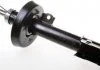 Амортизатор DENCKERMANN DSB028G (фото 1)