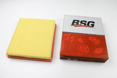 Фильтр воздушный Transit 2.2TDCi 06-11 BSG BSG 30135018