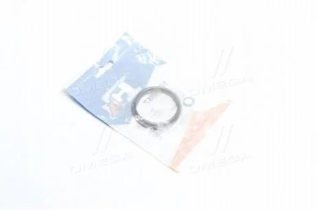 Ущільнююче кільце BMW Fischer Automotive One (FA1) 102947