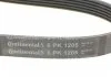 Ремень поликлиновой (Пр-во ContiTech) CONTITECH 6PK1205 (фото 4)