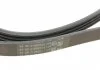 Поликлиновой ремень (Пр-во ContiTech) CONTITECH 4PK860ELAST (фото 3)