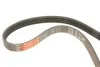 Пасок поліклиновий 4PK673/675 GATES 4PK675 (фото 4)
