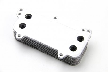 Радиатор масла T5 2.5TDI 03- BSG BSG 90506005