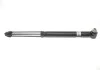 Ам-тор зад., Audi A6 04-11 BILSTEIN 19139968 (фото 1)