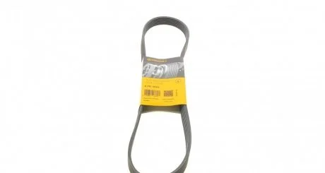 Полікліновий ремінь (Вир-во Contitech) CONTITECH 6PK1010