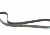 Поликлиновой ремень HYUNDAI ELANTRA 2.0 10/15- (Пр-во Contitech) CONTITECH 6PK1285 (фото 5)