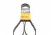 Ремінь поліклиновий CONTITECH 7PK1605 (фото 1)