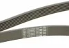 Пасок поліклиновий 7PK1800 CONTITECH 7PK1801 (фото 3)